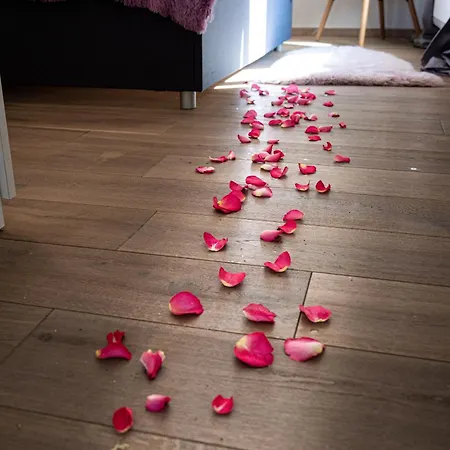 Deluxe Rabbit 公寓 布拉格