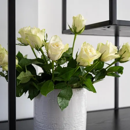 Deluxe Rabbit 公寓 布拉格