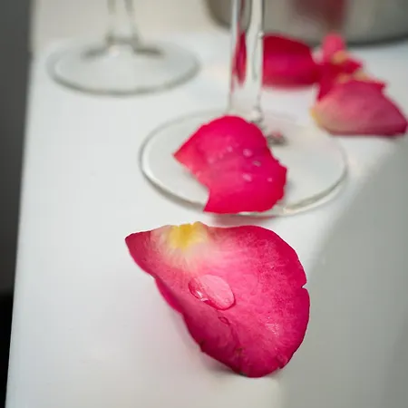 公寓 Deluxe Rabbit 布拉格