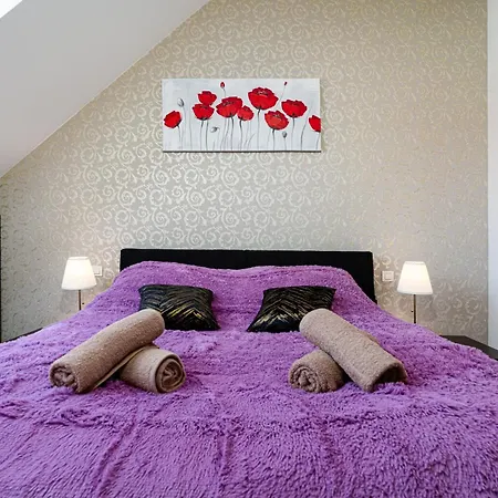 Deluxe Rabbit 布拉格