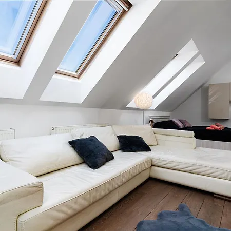 Deluxe Rabbit 布拉格